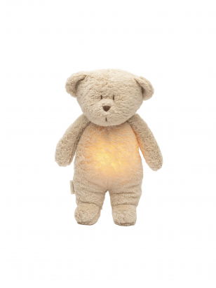 Nap toy bear, moonie